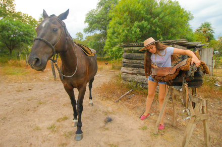caballo 2.jpg