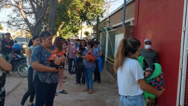 Nueva jornada de castración gratuita para perros y gatos en Charata