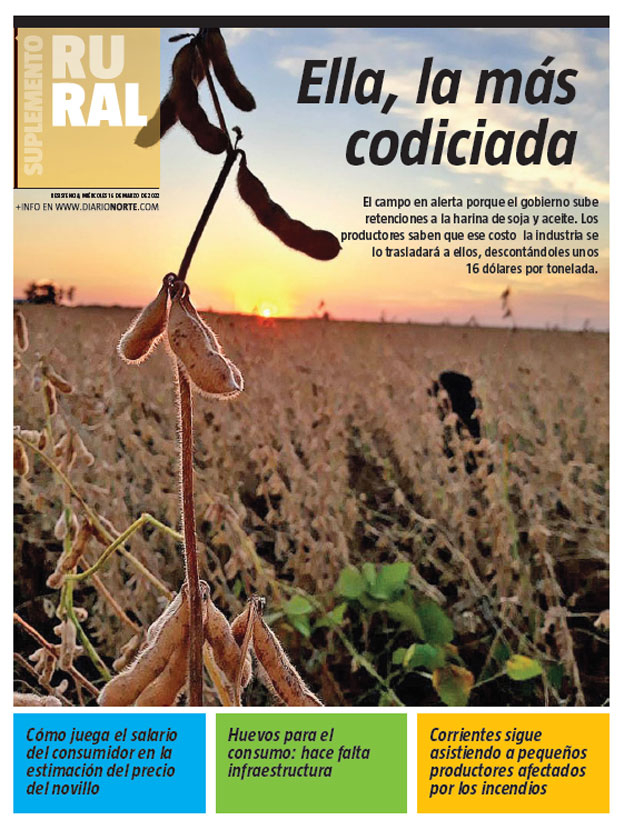 Ella, la más codiciada