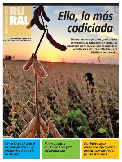 Ella, la más codiciada