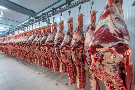 carne.jpg