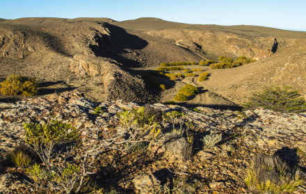 cañon4.jpg