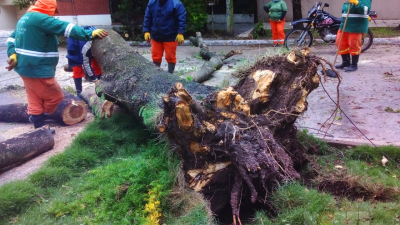 Las ráfagas de viento en Resistencia durante la tormenta superaron los 70 km/hora