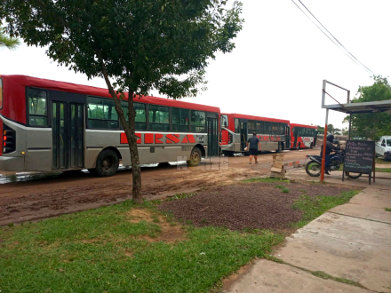 colectivos.jpg