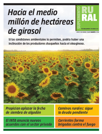 Hacia el medio millón de hectáreas de girasol