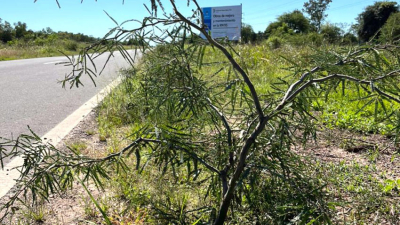 Ruta Nacional 95: sin banquinas entre Sáenz Peña y Tres Isletas
