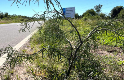 Ruta Nacional 95: sin banquinas entre Sáenz Peña y Tres Isletas