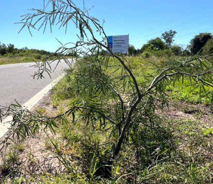 BANQUINA-RUTA95.jpg