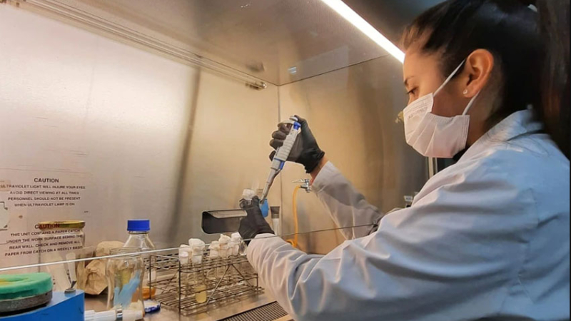 Una estudiante jujeña creó un nuevo alimento con granos andinos