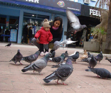 frio beba.JPG