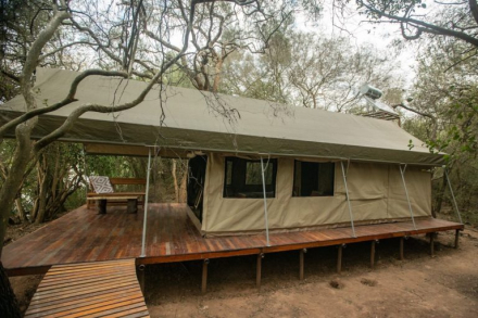camping6.jpg