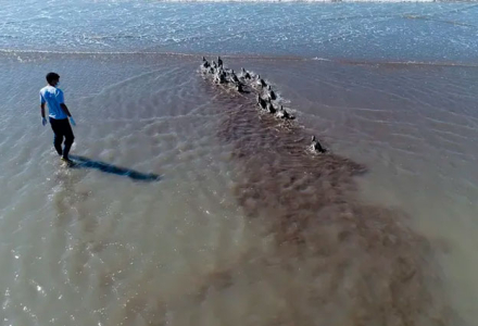 pinguinos3.jpg