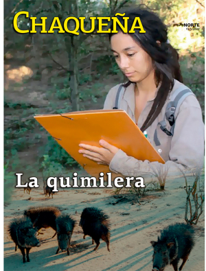 La quimilera
