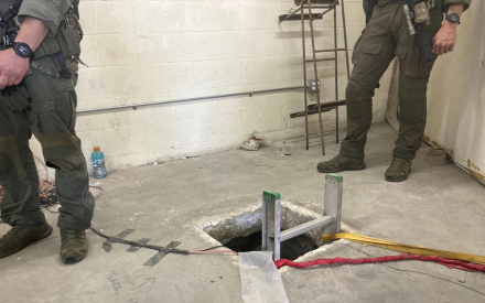 narcotunel2.jpg