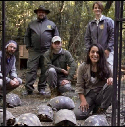 tortugas4.jpg