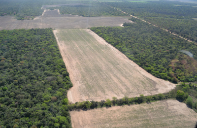 Se reanudaron reuniones por el ordenamiento de bosques