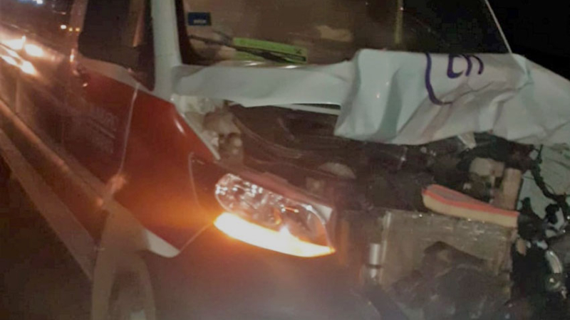 Un caballo suelto en la ruta 16 casi causa una tragedia a combi con pasajeros