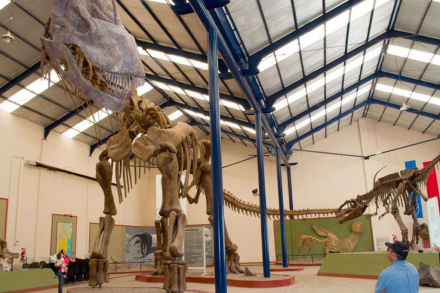 dinosaurio.jpg