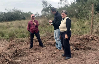 Plan palta en marcha