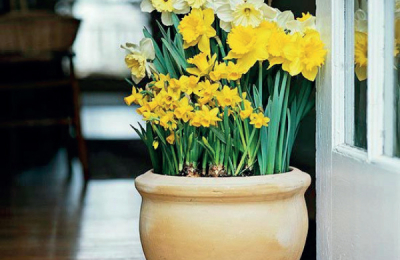 Decorá tu hogar con flores naturales