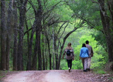 parque2.jpg