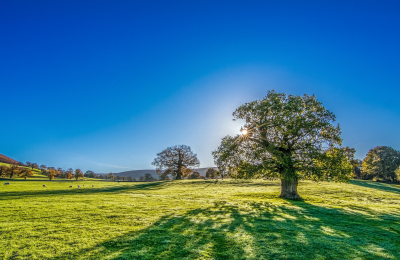 Un aire limpio para un cielo azul