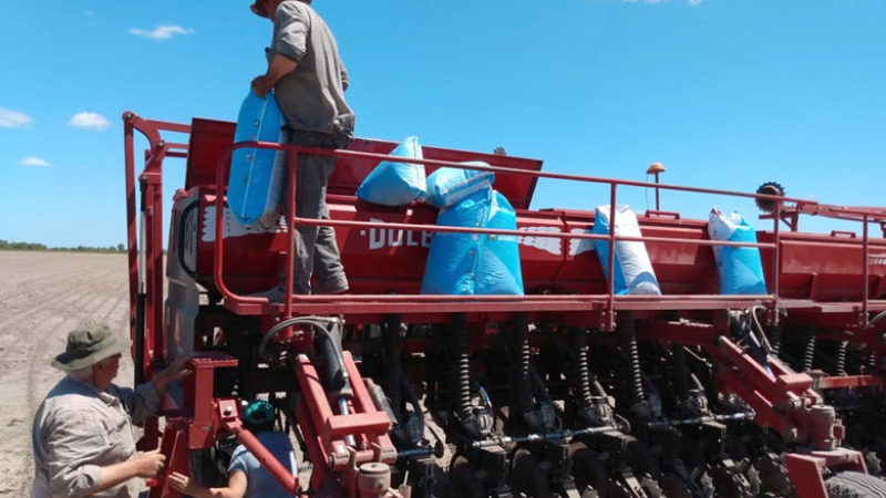 El 45 % de las variedades sembradas en el país son de INTA