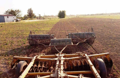 Complicado panorama: heladas y sequía vuelven a castigar al agro