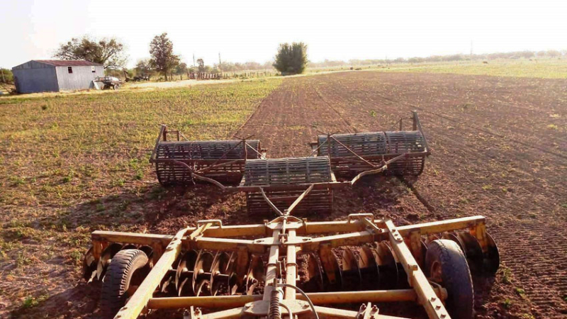 Complicado panorama: heladas y sequía vuelven a castigar al agro