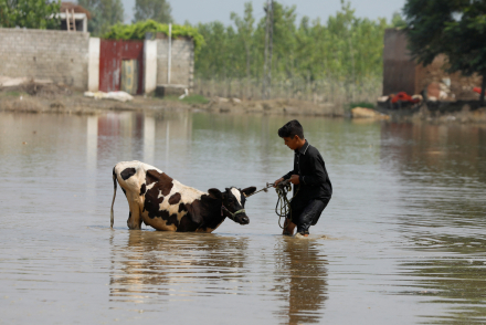 Pakistan05.jpg