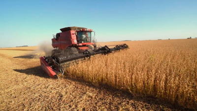 La soja subió hasta USD 27, tras difundirse el informe de septiembre del Departamento de Agricultura de EEUU