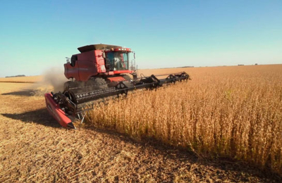La soja subió hasta USD 27, tras difundirse el informe de septiembre del Departamento de Agricultura de EEUU
