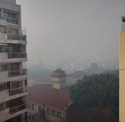 Rosario-Humo10.jpg