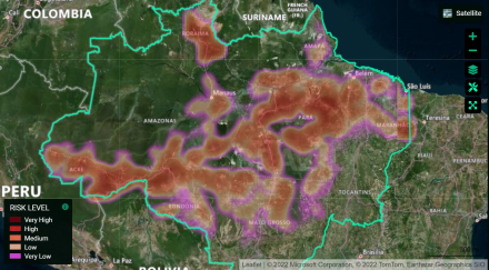 brazil amazon.jpg