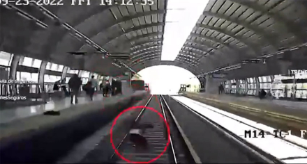 tren.jpg