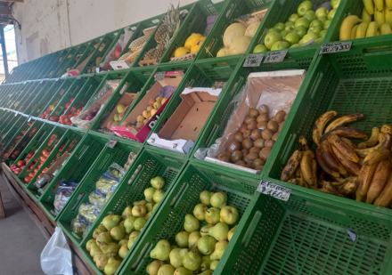 frutas-ok-(1).jpg
