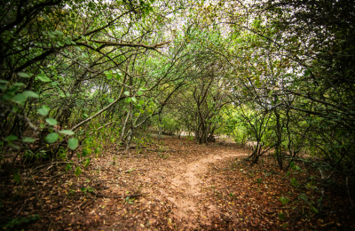 Parque Provincial Fuerte Esperanza, una experiencia de naturaleza pura