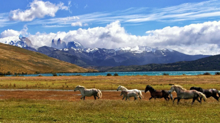 DESTINO CHILE03.jpg