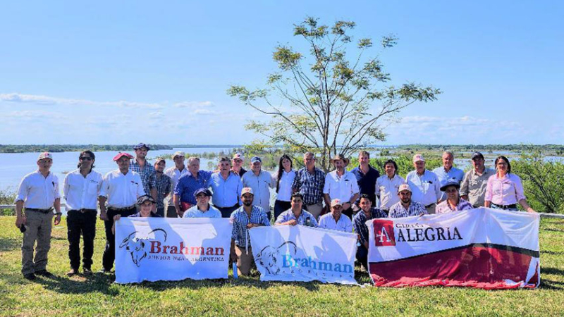 Asociación Brahman en Corrientes