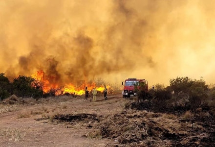 bomberossalta.jpg