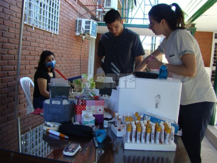 extraccion.jpg