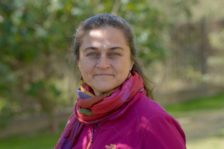 victoria cardinal.jpg