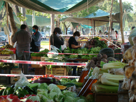feria2.JPG