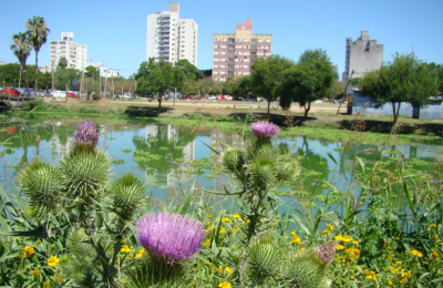 Semana con temperaturas agradables y sin precipitaciones