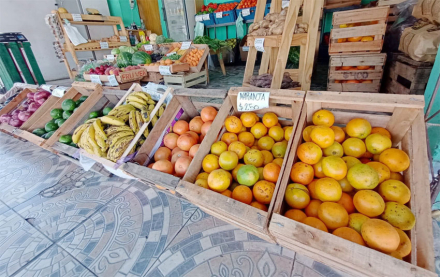 frutas3.jpg