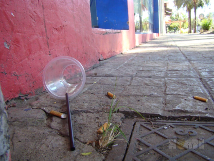 06.jpg
