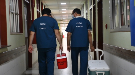 donacion de organos 01.jpg