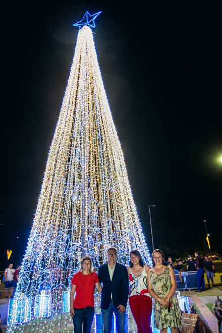 ARBOL NAVIDEÑO 3.jpg