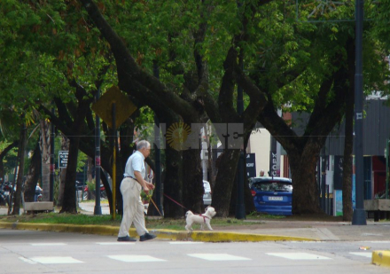 calor3.JPG