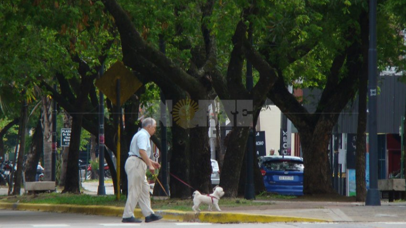 Resistencia: pronóstico para hoy jueves